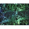 New Creations Fabric And Foam Green Iridescent And Reversible Sequins
