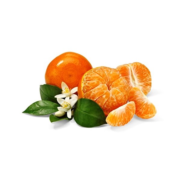 Honey Tangerines 20lb Box