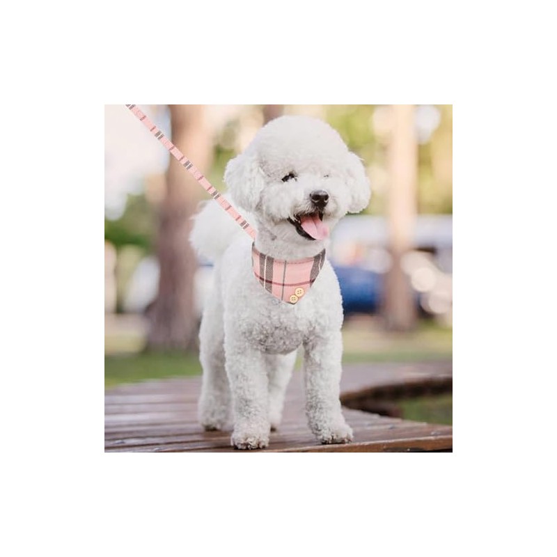 KOOLTAIL - Juego de collar y correa para perros pequeños