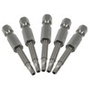 LDEXIN 10Pcs Magnetic Pentagon Head Screwdriver Bits 1/4" Hex Shank