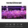2pcs Plant Light 0.3 Meter Low Power Consumption 5W LED
