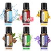 Essential Oils Set, Starter Kit Oils for Diffusers for Home,