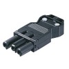 Wieland Accessories/Spare Part, W Socket 230 V, Male, Length 70 mm, Width 28 mm, Height 12 mm 800100 (Pack of 3 Socket Parts with Strain Relief), Black