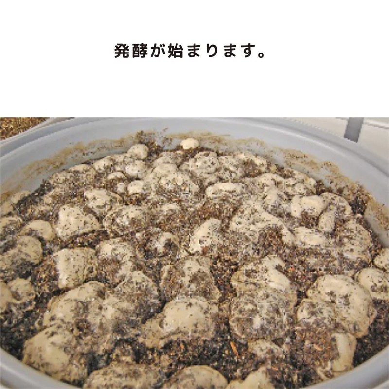 スーパーA-Z生酵素 ７２０ml （２本セット）熟成発酵酵素 国産 無添加 酵素ドリンク 野草酵素 低カロリー低糖質な酵素 ファスティング １００の力