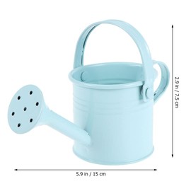 DOITOOL Kids Watering Can Small Metal Watering Cans, 6PCS Gardening Water Pots Garden Watering Bucket Plant Watering Can Iron Mini Watering Can for Kids (Mixed Style)