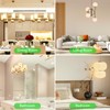 BUBO G9 LED Bulb 3000K Warm White 430 Lumens, 3W