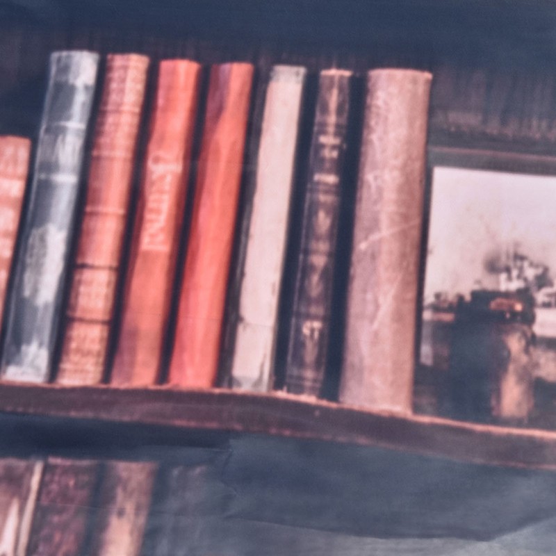 Living Room Curtains 3D Bookcase Printed Shading Curtains Bedroom Drapes