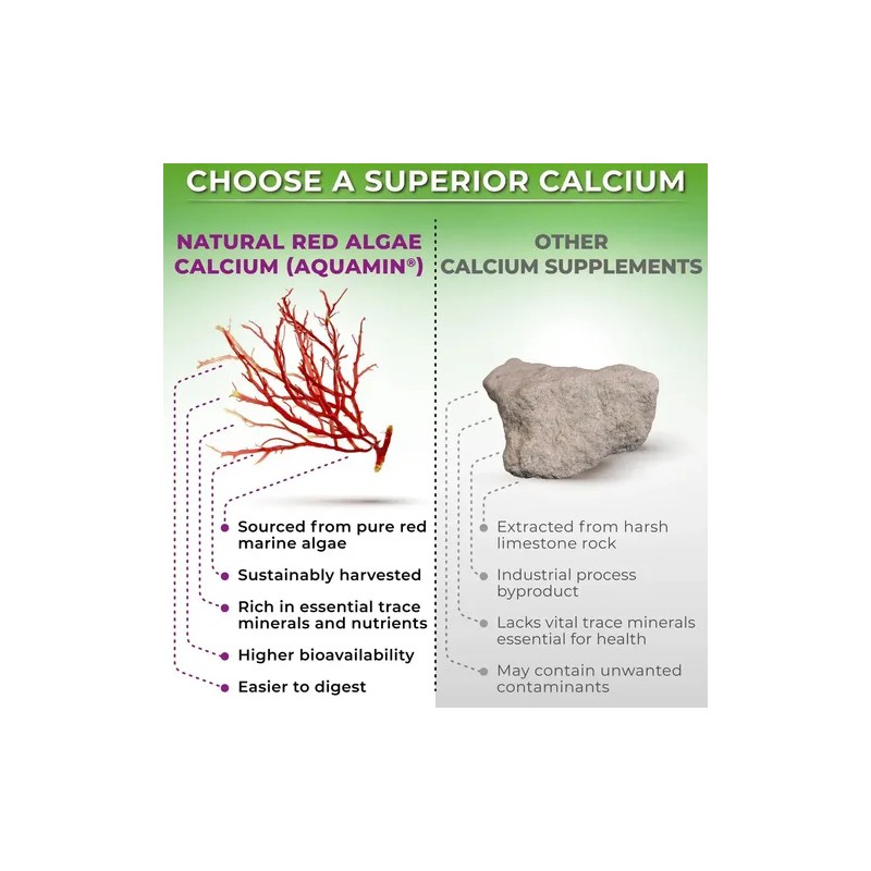 Calcio Vegetal Aquamin 500 Mg Con Magnesio Zinc 90 Capsulas
