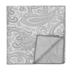tiemart Pattern Pocket Square (Mercury Silver Clara Paisley)