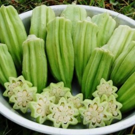 Fresh 40 STAR OF DAVID OKRA SEEDS Non-GMO Heirloom | USA Seller Free Shipping