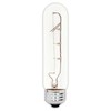 G E Lighting 45144 25-Watt Clear Tubular Light Bulb