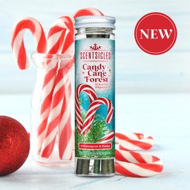 Scentsicles Candy Cane Forest Scented Christmas Ornaments with Hooks - 1 Bottle (6 Sticks Total)