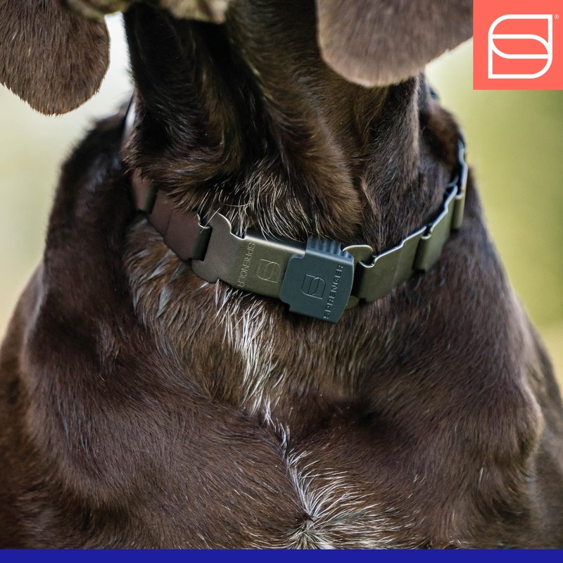 Herm. Sprenger NeckTech Fun Dog Training Collar with Quick Release
