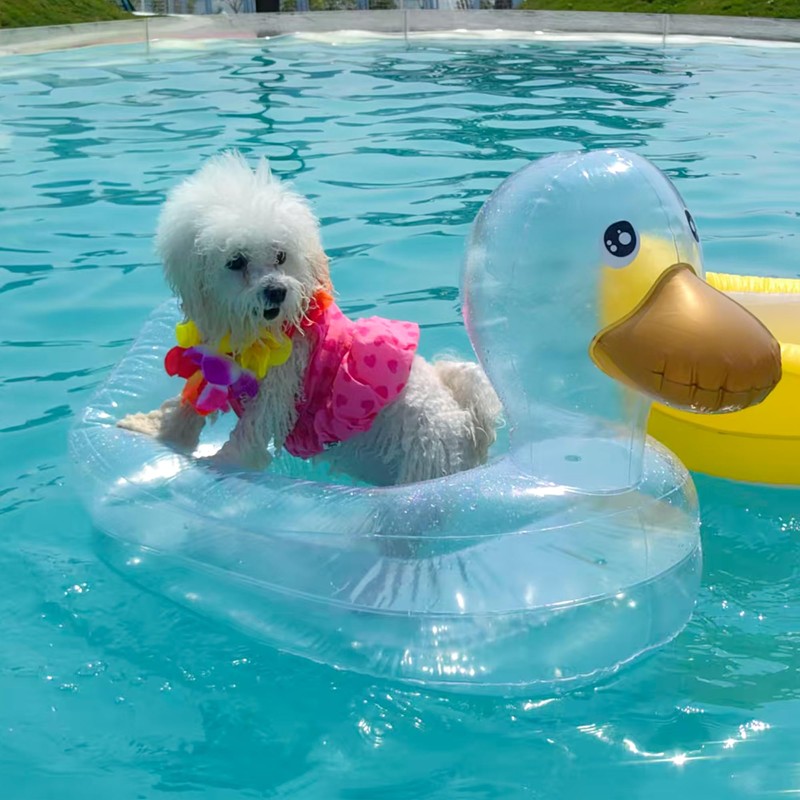 Dog Pool Float, Funny 6-in-1 Inflatable Dog Floats for Pool,