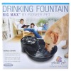 Pioneer Ceramic Drinking Fountain Big Max , 128 oz,Black
