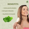 Havintha Natural Brahmi Powder for Hair Growth and Scalp Treatment