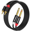 HOSONGIN RCCAA to 1/4 inch Cable 3.3 Feet,Dual 1/4 inch