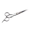 Professional Barber Hair Cutting Scissors Shears Stainless Steel Barber Scissors