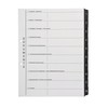 PLASTOREG Smidt GmbH Theme Ring Binder with Tabs / Dividers