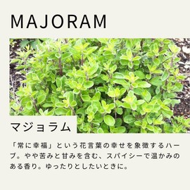 Seika no Ki Sweet Marjoram Essential Oil 10ml Aroma Oil Natural Essential Oil AEAJ Standard Compliant Certified Essential Oil