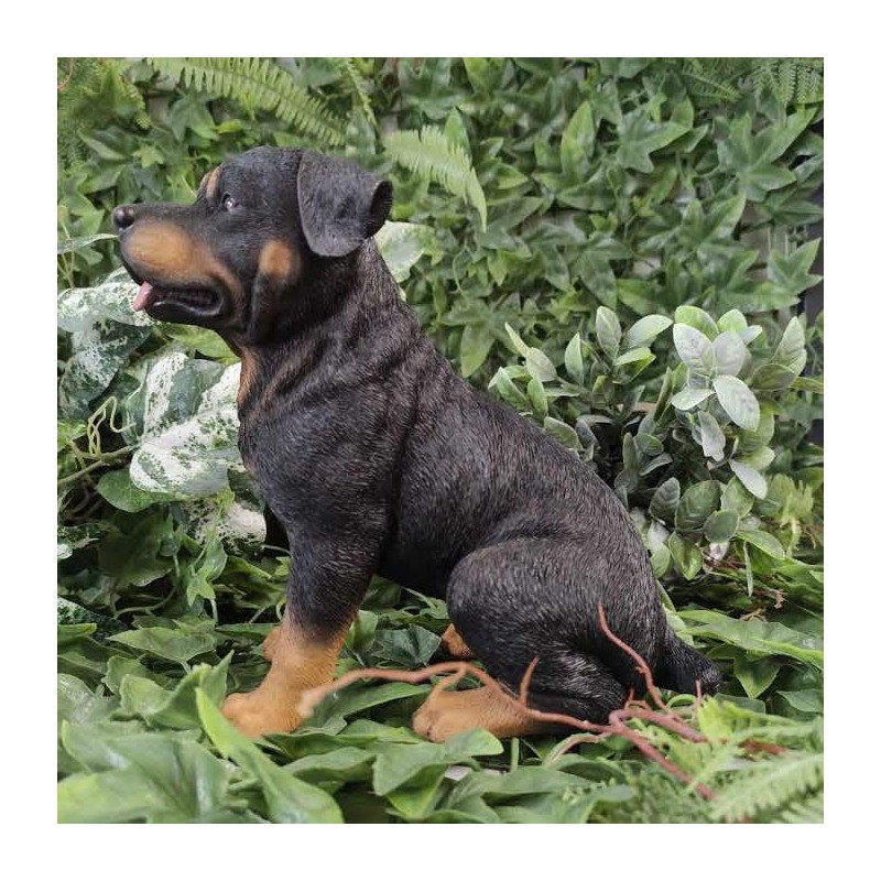 Vivid Arts - Rottweiler - XRL-ROTT-D