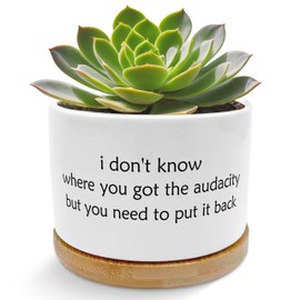 Funny Humorous Saying Planter Pots, Sarcastic I Don't Know Where You Got the Audacity Ceramic Succulent Plant Flower Planters for Home Office Desk Table Shelf(No Plants)