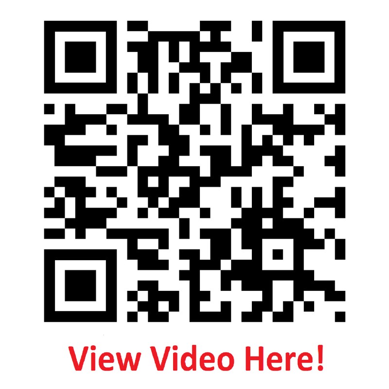 Lihit Lab A7803-7 Smartfit Punilab Stick Scissors Mikeneko