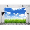 Loccor Fabric 5x4ft Blue Sky Backdrop Spring Green Field Beautiful