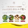 COCO KINU Silk Treatment, Beauty Salon Exclusive, Damage Repair, Moisturizing,