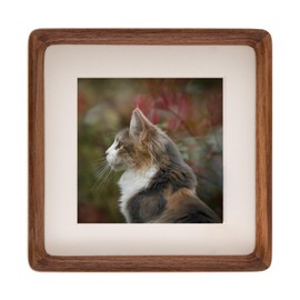 5x5 Picture Frame in Natural Walnut Wood,Square 5x5 Frame with 3.5x3.5 Mat for Wall Mount or Tabletop Display