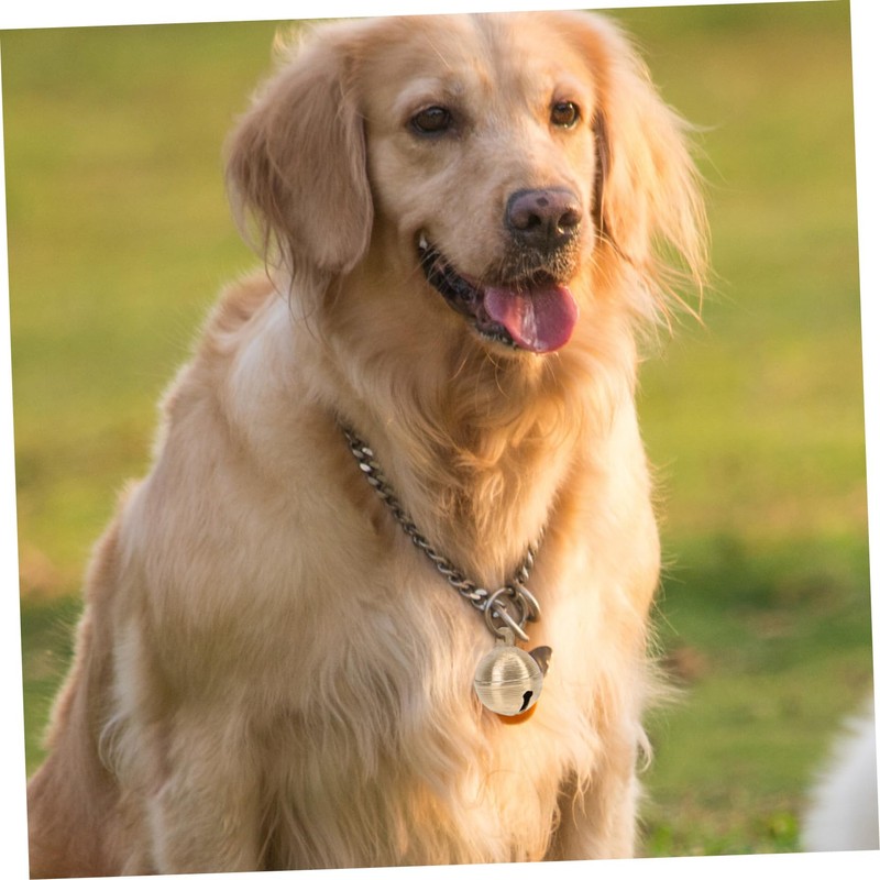 Kisangel Elegant Bell Brass Bells for Pet Collar Dog Cattle