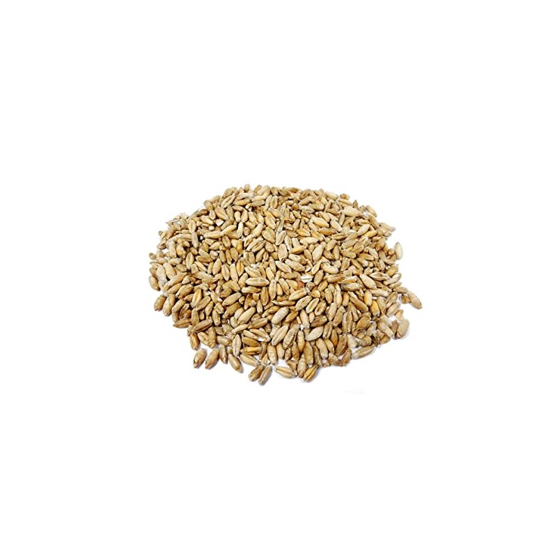 Thunder Acres Organic Non-GMO Triticale Seed (1lb)