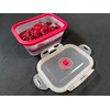 Aura Global Rectangular Collapsible Silicone Food Storage Containers with Snap-Down