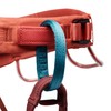 Black Diamond Women's Momentum Harness, Baja Sunrise, XL