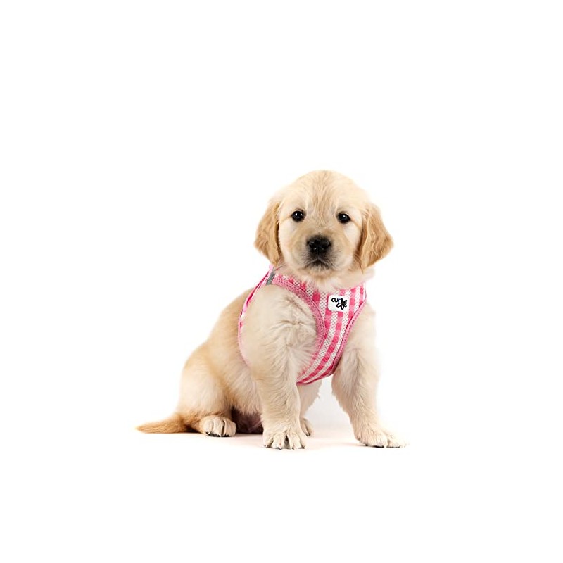 Vest Harness Curli Clasp Air Mesh Pink-Chequered 2XS & Leash