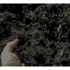 Black Shredded Redwood Mulch, Natural Dyed, Erosion Control Mulch, Great
