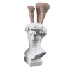 POCHY David Head Statue | Resin Bust Statue Art Craft