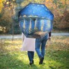 Ucrinei Van Gogh umbrella, Pretty Umbrellas for Women and men,