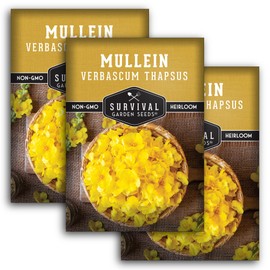 Mullein Seed for Planting - 3 Packets with Instructions to Plant and Grow Medicinal Herb Common Mullein in Your Home Vegetable Garden - Non-GMO Heirloom Variety - Survival Garden Seeds