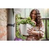 elho Vibia Campana Downpipe Planter 40 - Flower Pot for