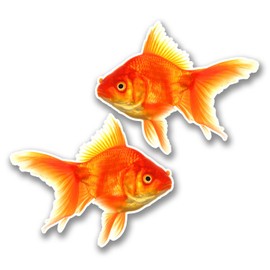 2 x 10cm Goldfish Vinyl Sticker Decal Laptop Kids Car Fish Aquarium #6289 (10cm Wide x 8.2cm Tall)