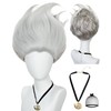 Pure Silver Wig for Men Silver Straight Cosplay Wigs for