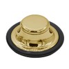Westbrass D209-01 Waste Disposal Stopper, Polished Brass