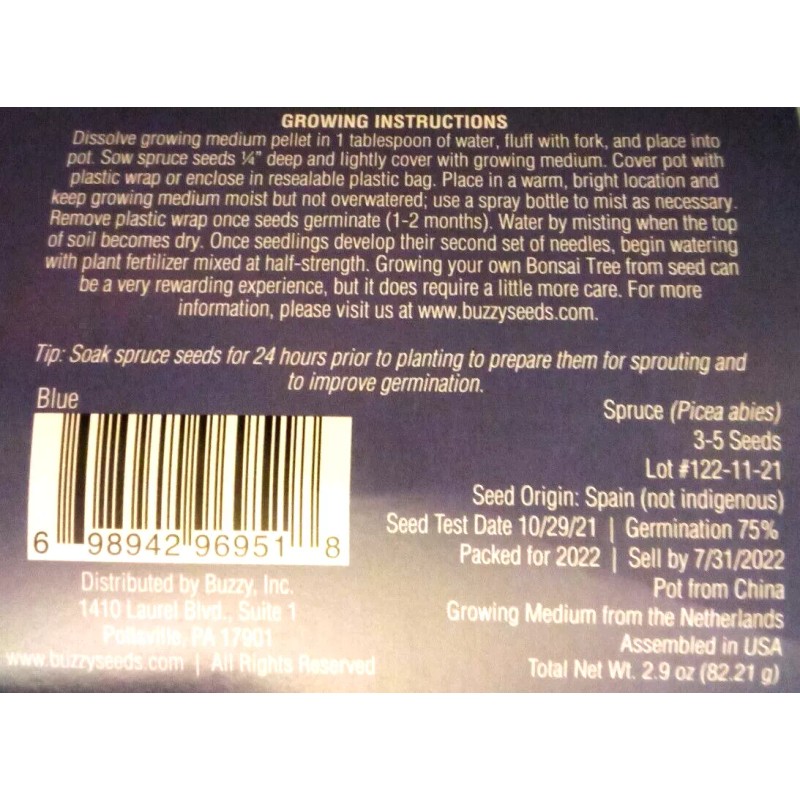 Buzzy Bonsai (Spruce - Picea Abies) Complete Grow Kit