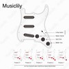 Musiclily Pro-SE ST-DPHA SSS Strat Wired Pickguard Arnico 5 Single