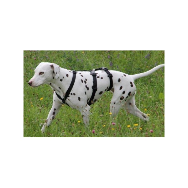 Feltmann NoExit Chest Harness, Escape Proof, Soft, Plain Black, 55-75