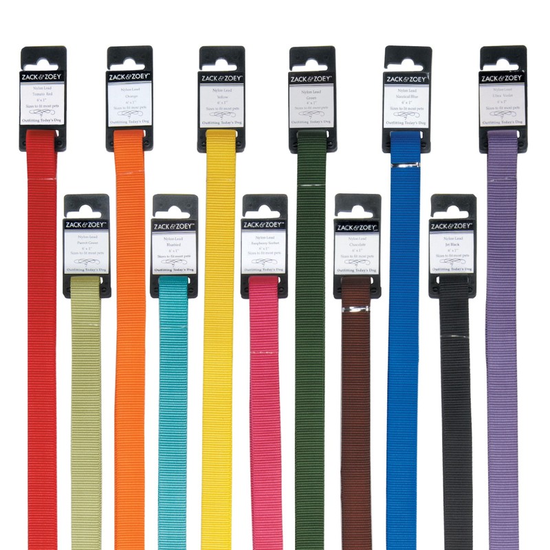 Zack & Zoey Basic Nylon Dog Leash, 4-Feet x 5/8-Inch