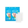 Haeserin [2PACK] Spot Care Patch Kit (AD) 76 Sheets