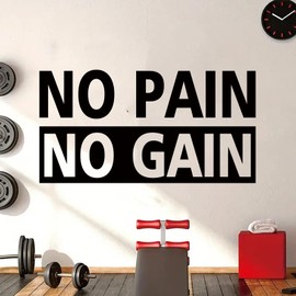 SEATUNE Large Gym Motivational Wall Stickers - Quotes Inspirational Wall Decals - Bedroom Home Gym Garage Vinyl Art Wall Decor - No Pain No Gain 28.6"X15"