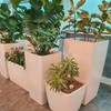 8pcs Ollas Self Watering Terracotta Planter Terra Cotta Clay Watering